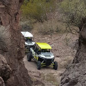 Meet your Posher, Harry